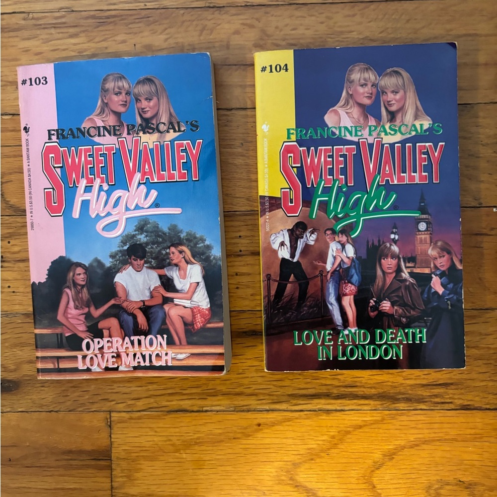 Sweet Valley High book bundle